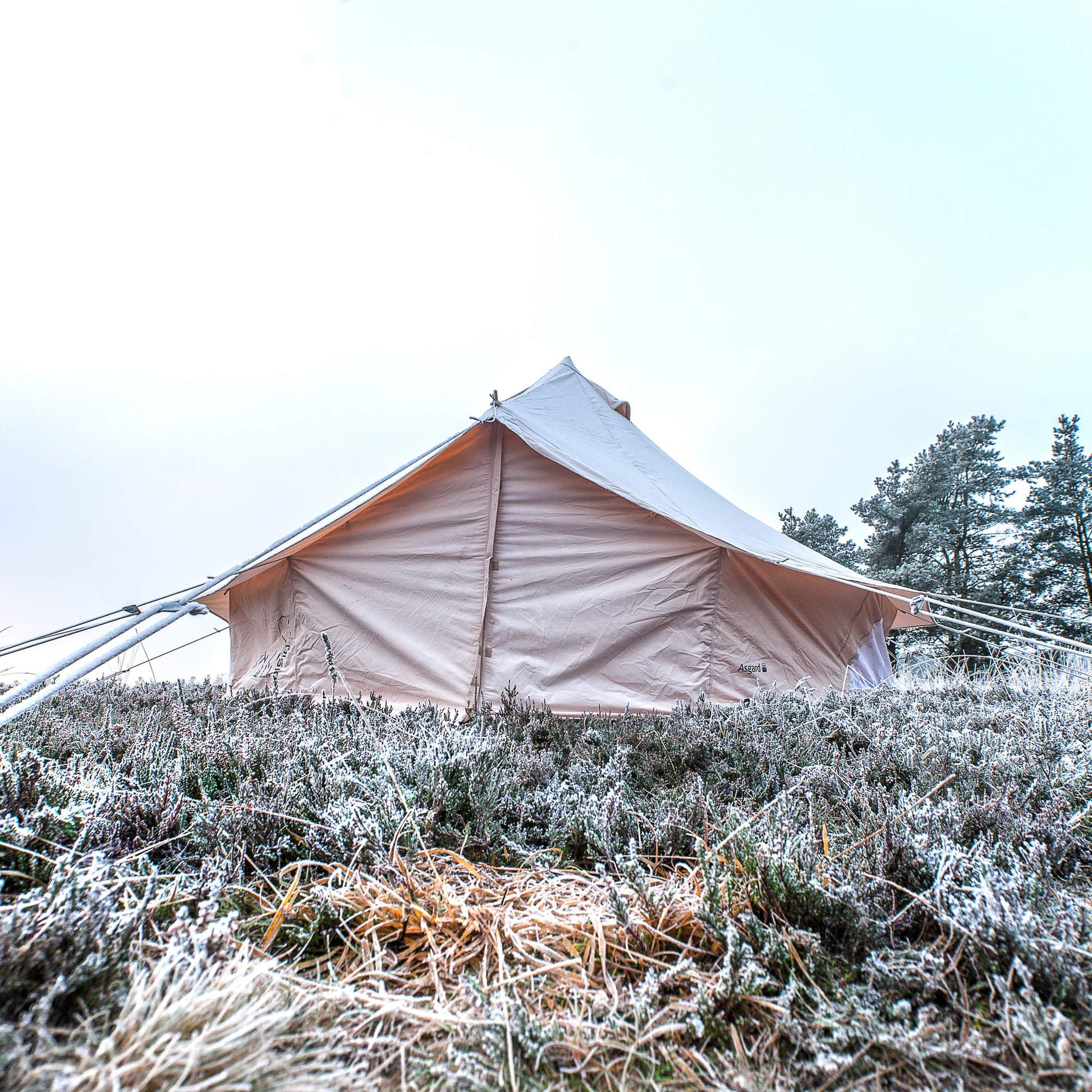 Nordisk ASGARD 12.6 BASIC COTTON TENT - Gruppenzelt